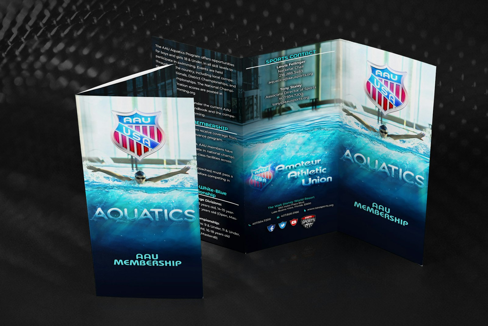 AAU Aquatics tri-fold brochures