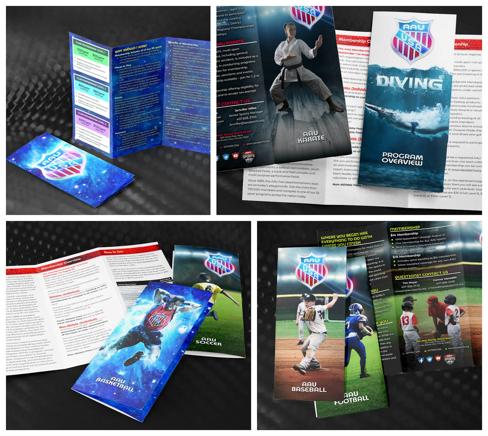 Assortment of some tri-fold brochures